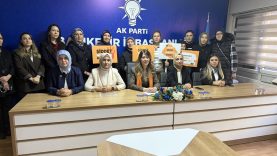 Kadına Şiddete Karşı Sıfır Tolerans: AK Parti Balıkesir İl Kadın Kolları’ndan 25 Kasım Mesajı