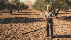 Marmara ve Ege İklim Değişikliği Eşiğinde: Balıkesir Tarımı Yeni Bir Döneme Giriyor