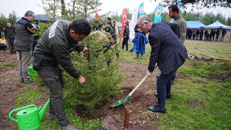 Sındırgı’da Milli Ağaçlandırma Günü’nde fidanlar toprakla buluştu