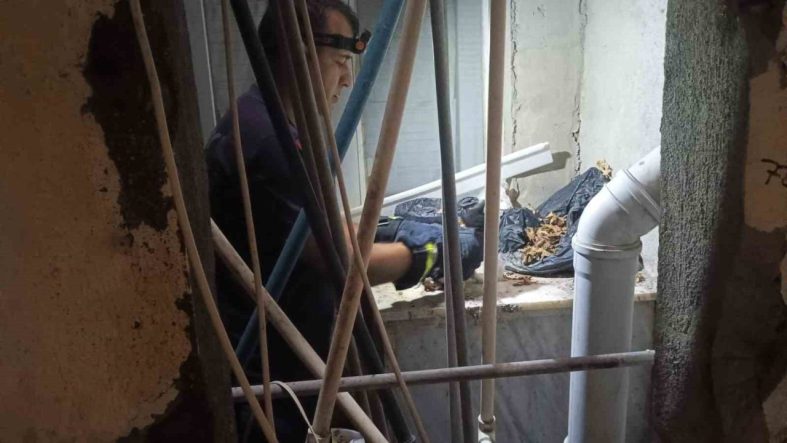 Apartman boşluğuna düşürek mahsur kalan yavru kediyi itfaiye ekipleri kurtardı