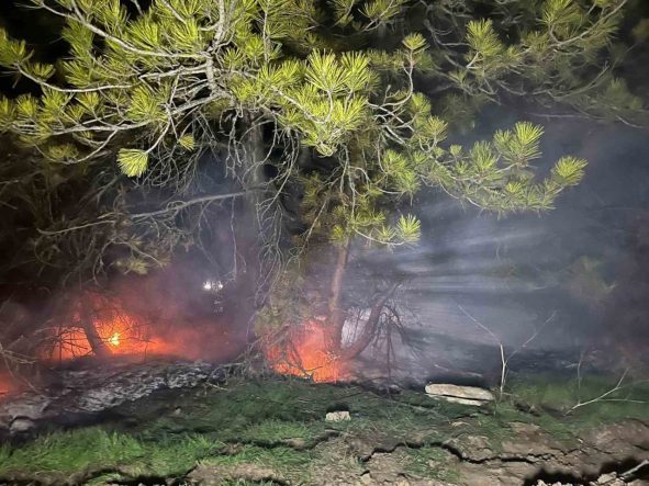 Bolu’da ormanlık alanda yangın çıktı