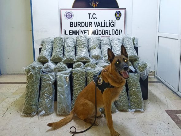 Burdur’da 36 kilo skunk maddesi ele geçirildi, operasyon görüntülüleri film sahnelerini aratmadı