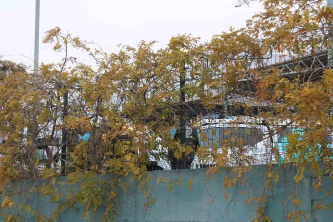 Geri dönüşüm tesisindeki koku ekipleri harekete geçirdi