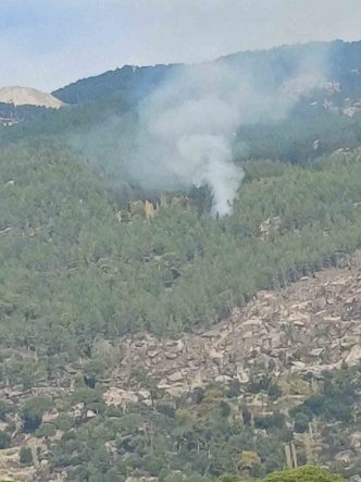 Kavaklıdere’deki orman yangını kontrol altına alındı