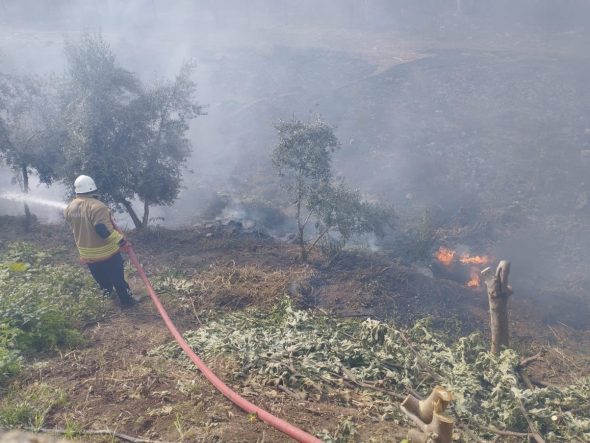 Kumlu’da bahçe yangını