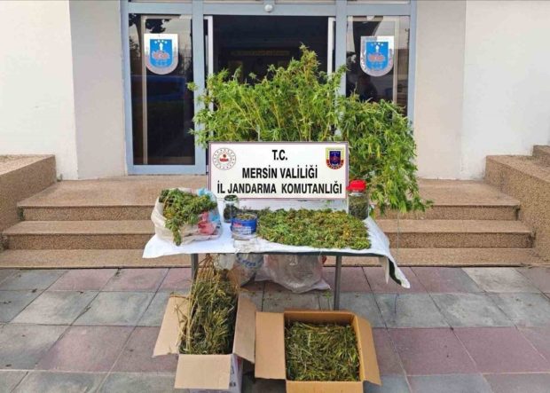 Mersin’de kenevir ekip uyuşturucu üreten şüpheli tutuklandı