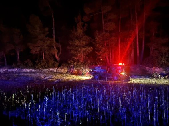 Muğla’da çıkan orman yangını kısa sürede kontrol altına alındı