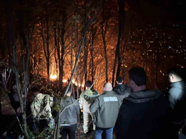 Ordu’da ormanlık alanda yangın