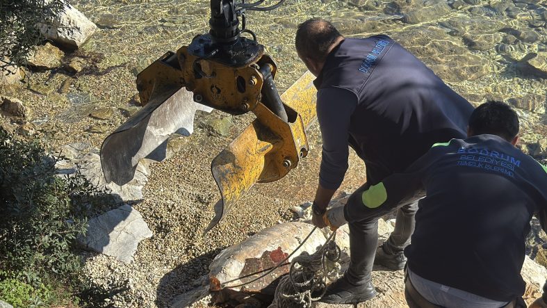 BODRUM SAHİLİNE VURAN CARETTA CARETTA VİNÇLE KALDIRILDI