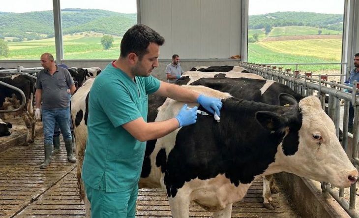 Balikesir-Sap-Var-Mi