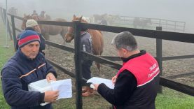Balıkesir’de At Sağlığı İçin Düzenli Kontroller ve Aşılama Çalışmaları Sürüyor