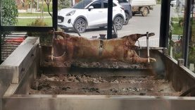 Balıkesir’de Kuzu Çevirme Geleneği İvrindi’nin Meşhur Kuzusu Sofraların Baş Tacı