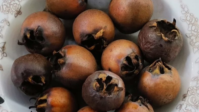 Balıkesir’de Tezgâhlarda Görüldü… Bilinmeyen Faydaları Şaşkına Çevirdi!