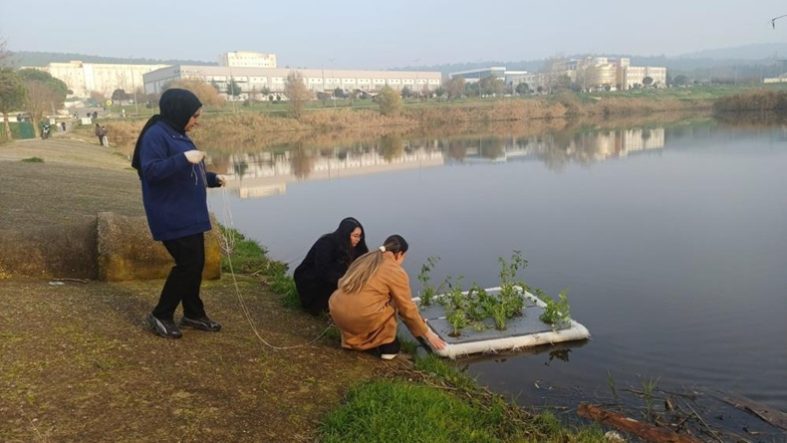 Balıkesir'de su kirliliğine bitkisel çözüm