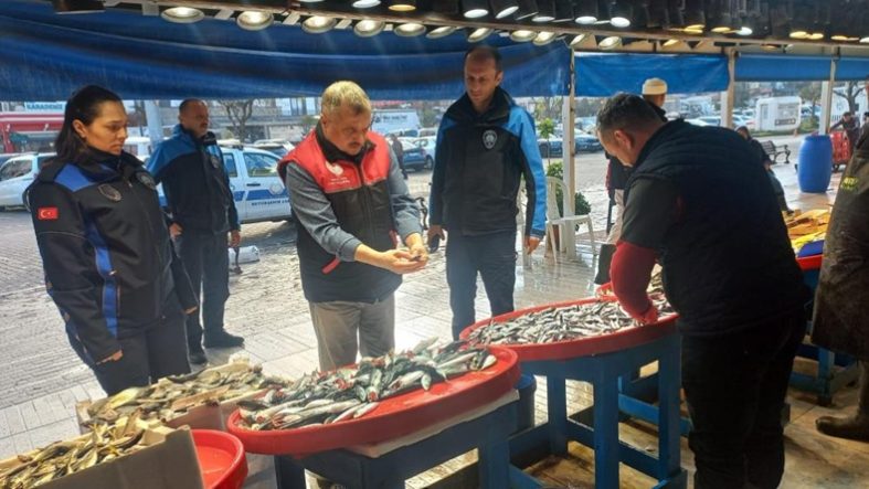 Bandırma Balık Hali’nde ‘Uskumru’ Oyunu Bozuldu!