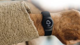 Büyükşehirden Alzheimer, Demans ve Otizm Hastalarına “Akıllı Takip Cihazı Desteği”