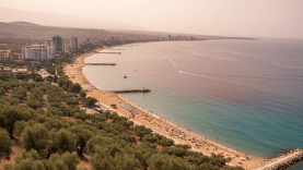 Edremit Körfezi’nde Dip Isınması Zeytinciliği ve Deniz Turizmini Tehdit Ediyor