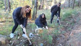 Kazdağlarında Bal Ormanına üniversiteli desteği