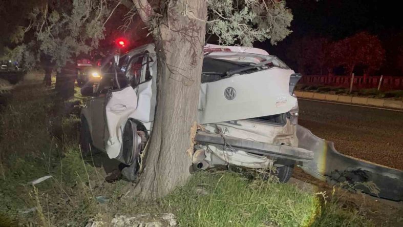 Tekirdağ’da ağaca çarpan otomobilin sürücüsü yaralandı