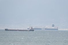AW613199_05