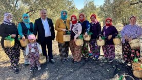 Ayvalık zeytinyağı, sektörün vitrinidir