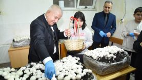 Balıkesir’de Özel Öğrencilerden Anlamlı Başarı Mantar Atölyesinde İlk Hasat Yapıldı