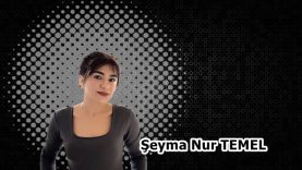 şeyma nur temel