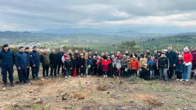 Burhaniye’de 315 fıstıkçamı fidanı toprakla buluşturuldu