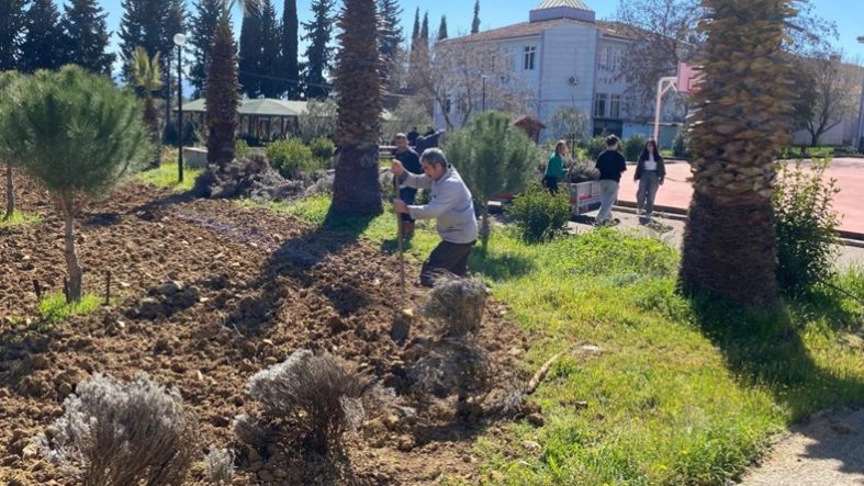 Edremit'te lavanta bahçesi için dikim çalışmaları başladı
