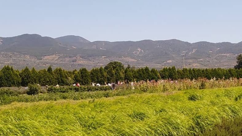 Balıkesir Kırsalında Toprakla Bağ Koparsa Ne Olur