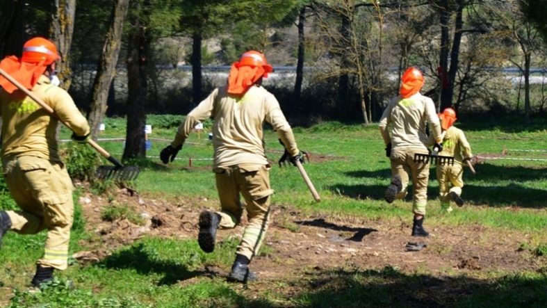 Balıkesir'de ormancılar madalya için kıyasıya yarıştı