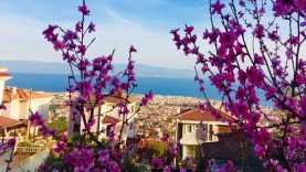 Edremit Körfezi Turizm mi, Gayrimenkul Ekonomisi mi