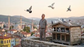 Balıkesir’in Çatılarında Yaşayan Bu Gizli Hobiyi Duymuş Muydunuz