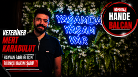 Balıkesirli Veteriner Mert Karabulut Sahte Mama Tehlikesi Büyüyor”