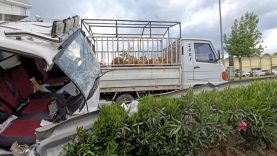 Havran’da Trafik Kazası 1 Kişi Yaralandı, 5 Küçükbaş Hayvan Telef Oldu