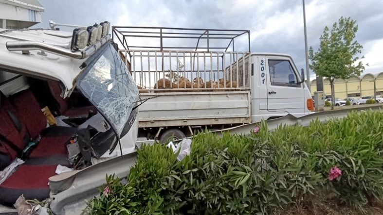 Havran’da Trafik Kazası 1 Kişi Yaralandı, 5 Küçükbaş Hayvan Telef Oldu