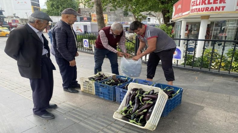 Patlıcan Maliyeti Kurtarmadı Bakın Ne Yaptı