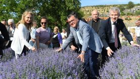 Altıeylül'de Mor Şölen Büyüledi (3)