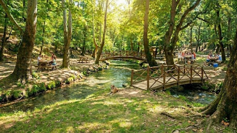 Balıkesir Merkez’de Bir Pazar Günü Ne Yapılır