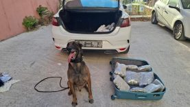 Balıkesir Polisi Tarih Yazdı Tek Operasyonda Dev Vurgun (1)