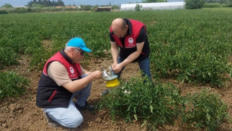 Balıkesir’de Bitkisel Üretim Saha Çalışmaları Aralıksız Sürüyor