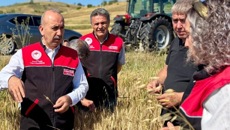 Balıkesir’de Hububat Alanlarında Süne Mücadelesi Çalışmaları Yoğunlaştı