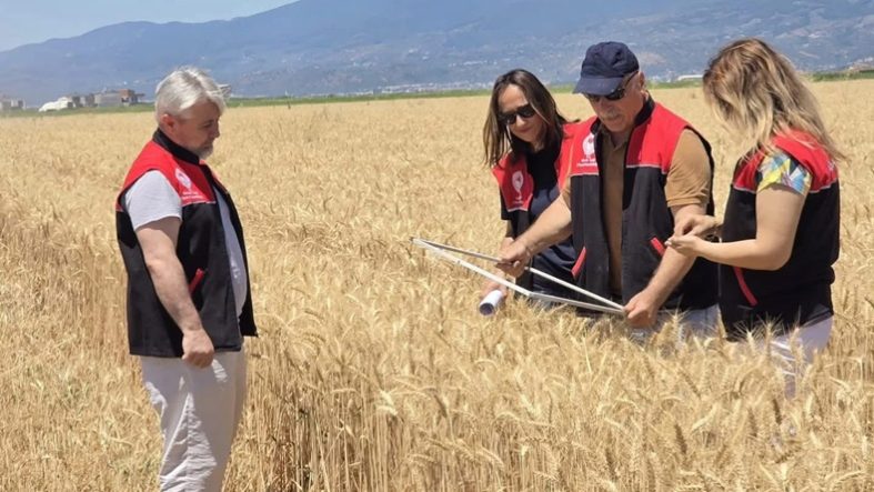 Balıkesir’de Hububat Hasadı Başladı