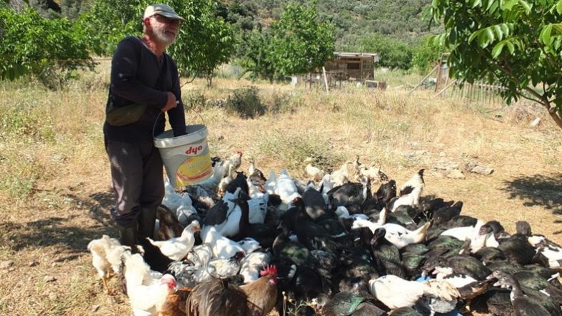 Balıkesir'de emekli muhasebeci başarılı üretici oldu