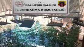 Balıkesir'de zehir tacirlerinin yeni sistemini jandarma çökertti