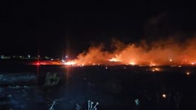 Burhaniye'de korkutan örtü yangını
