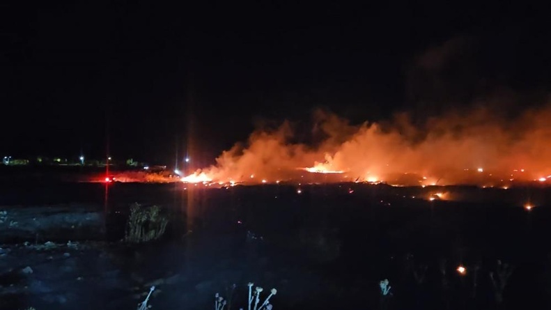 Burhaniye’de korkutan örtü yangını