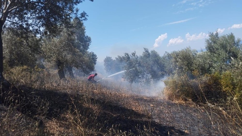 Burhaniye’de zeytinlik yangınına havadan ve karadan müdahale ediliyor