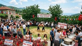 Erdek’te Kiraz Coşkusu Başlıyor!