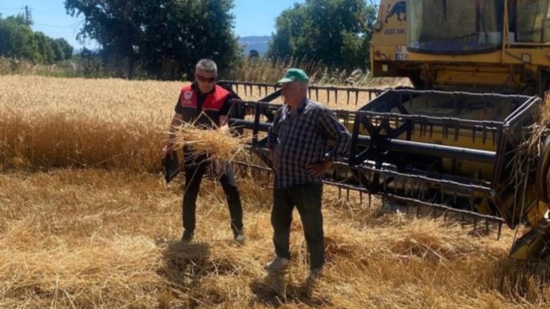 Havran'da hububat hasat kontrolleri yapılıyor